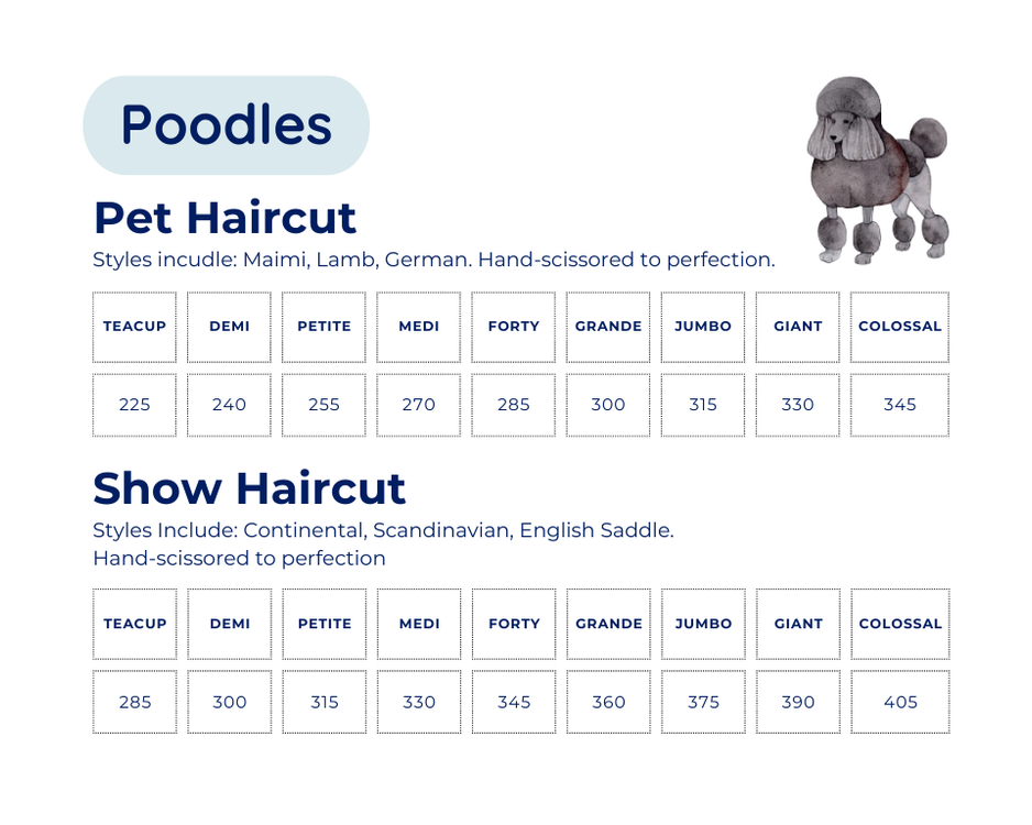 Poodle Pricing PNG